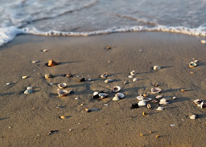 Apartment Modern Flat For 4 Guests Sea View-beahost *